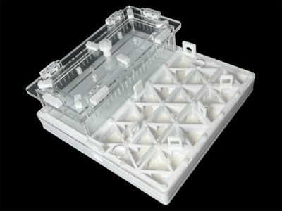 Професійна мурашина ферма 200х200мм з автозволоженням. Гіпс повністю г23, для Odontomachus