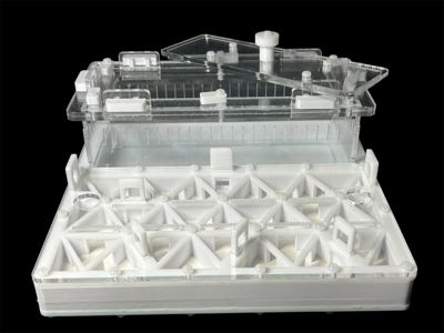 Професійна мурашина ферма 200х200мм з автозволоженням. Гіпс повністю г23, для Odontomachus