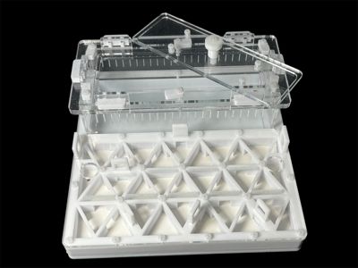 Професійна мурашина ферма 200х200мм з автозволоженням. Гіпс повністю г23, для Odontomachus