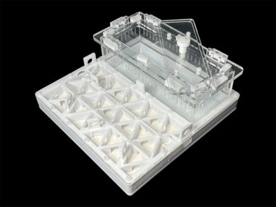 Професійна мурашина ферма 200х200мм з автозволоженням. Гіпс повністю г23, для Odontomachus