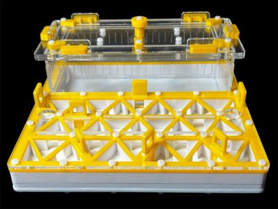 Професійна мурашина ферма 200х200мм: автозволоження, гіпс г23, 5 секцій для Pheidole, Ponerinae