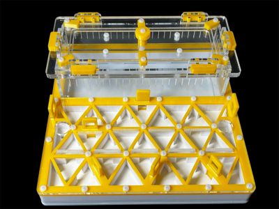 Професійна мурашина ферма 200х200мм: автозволоження, гіпс г23, 5 секцій для Pheidole, Ponerinae