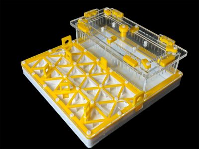 Професійна мурашина ферма 200х200мм: автозволоження, гіпс г23, 5 секцій для Pheidole, Ponerinae