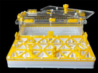 Професійна мурашина ферма 200х200мм: автозволоження, гіпс г23, 5 секцій для Pheidole, Ponerinae