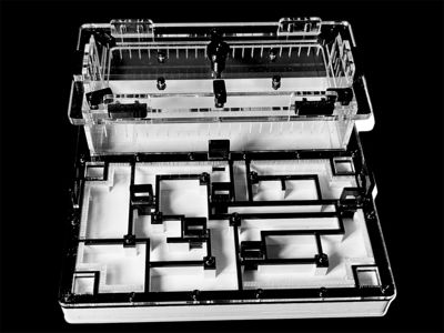 Чорна мурашина ферма «Лабіринт» 200х200мм з гіпсом для вологолюбних видів Camponotus