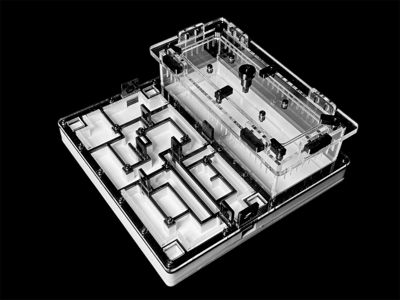Чорна мурашина ферма «Лабіринт» 200х200мм з гіпсом для вологолюбних видів Camponotus