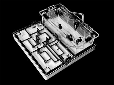 Чорна мурашина ферма «Лабіринт» 200х200мм з гіпсом для вологолюбних видів Camponotus