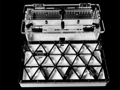 Професійна мурашина ферма чорна з автозволоженням. Гіпс Г23, 5 секцій для Carebara, Pheidole