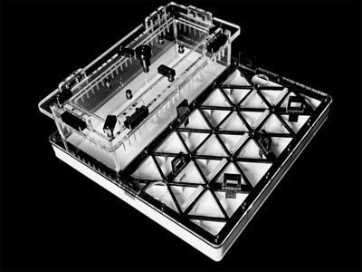 Професійна мурашина ферма чорна з автозволоженням. Гіпс Г23, 5 секцій для Carebara, Pheidole