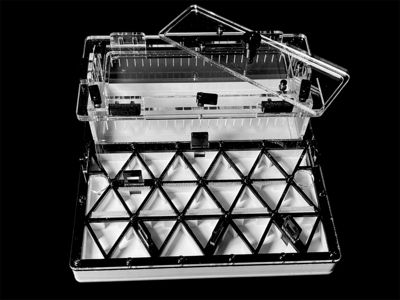 Професійна мурашина ферма чорна з автозволоженням. Гіпс Г23, 5 секцій для Carebara, Pheidole