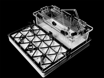 Професійна мурашина ферма чорна з автозволоженням. Гіпс Г23, 5 секцій для Carebara, Pheidole