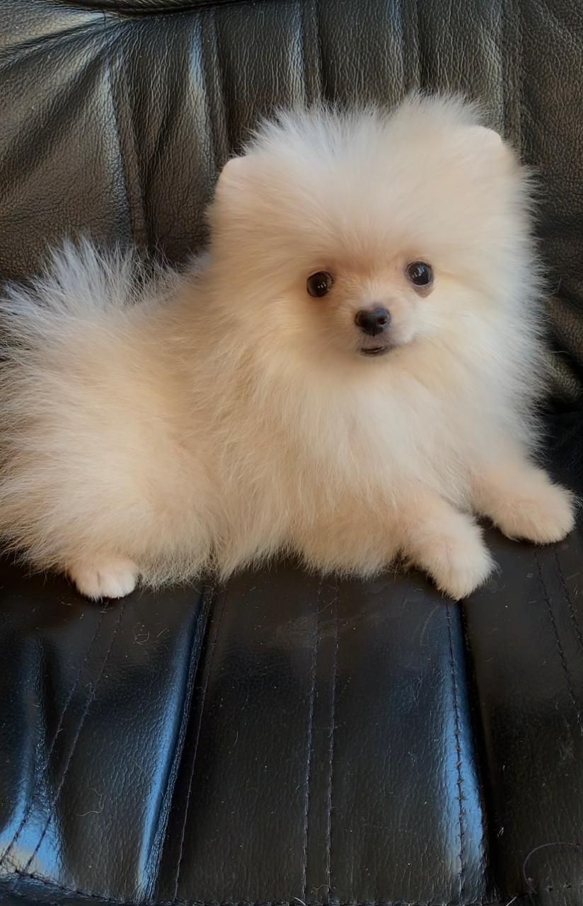 Очаровательная малышка Бетти