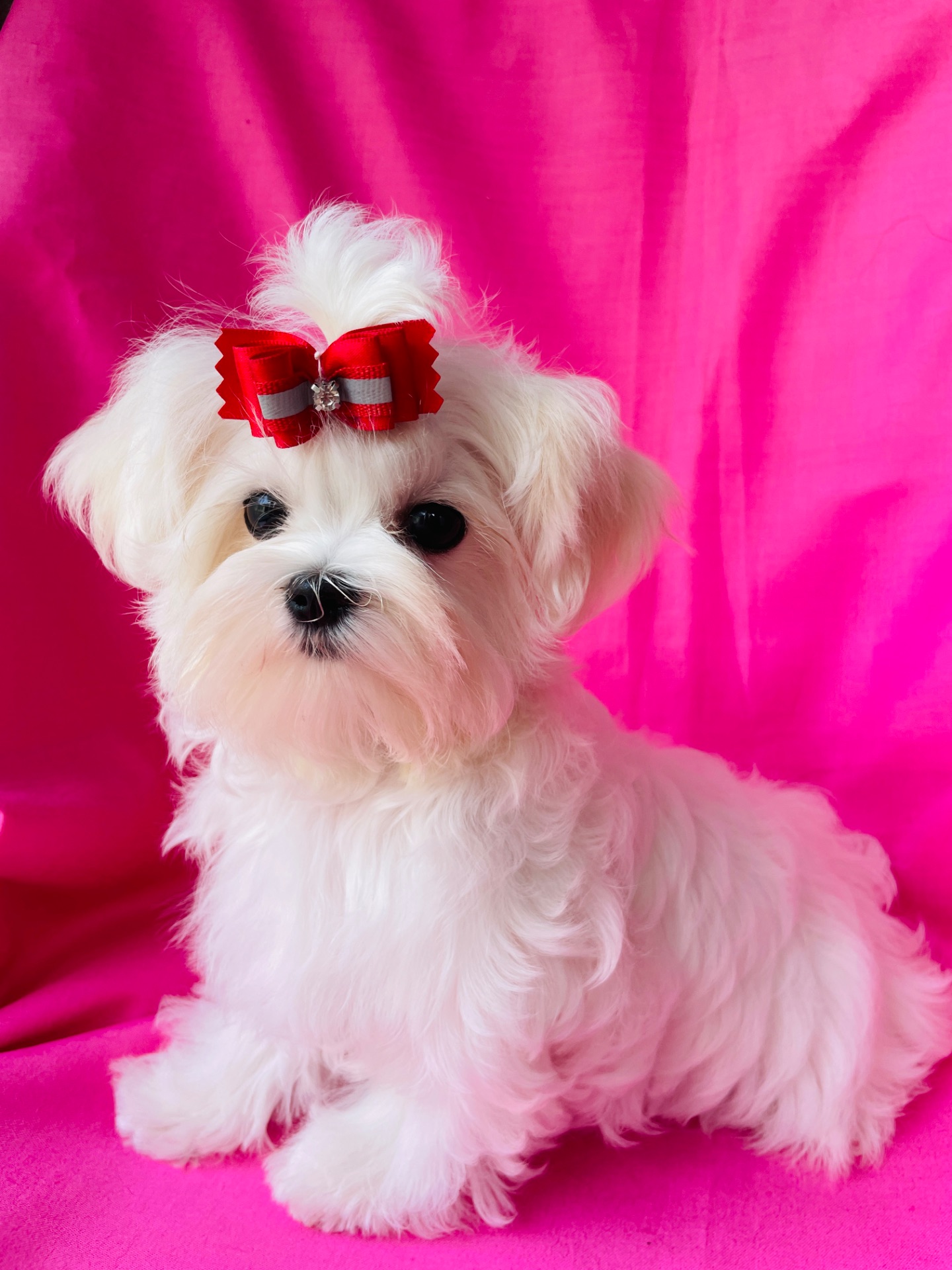 Міні дівчинка