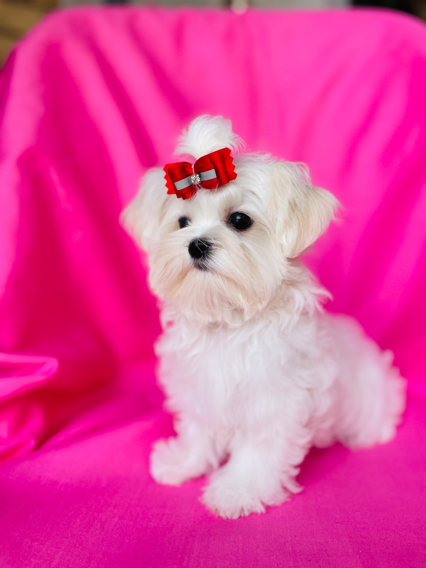 Міні дівчинка