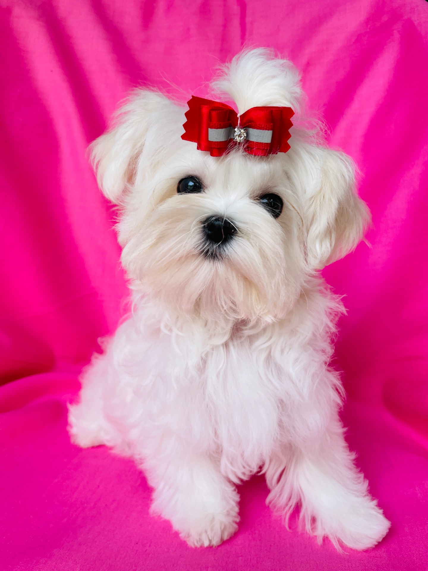 Міні дівчинка