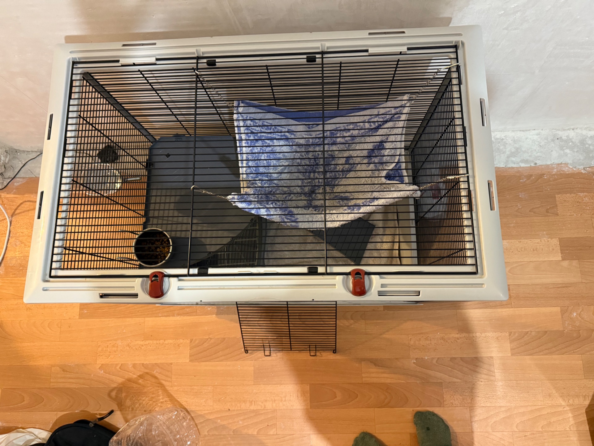 Хорек з кліткою