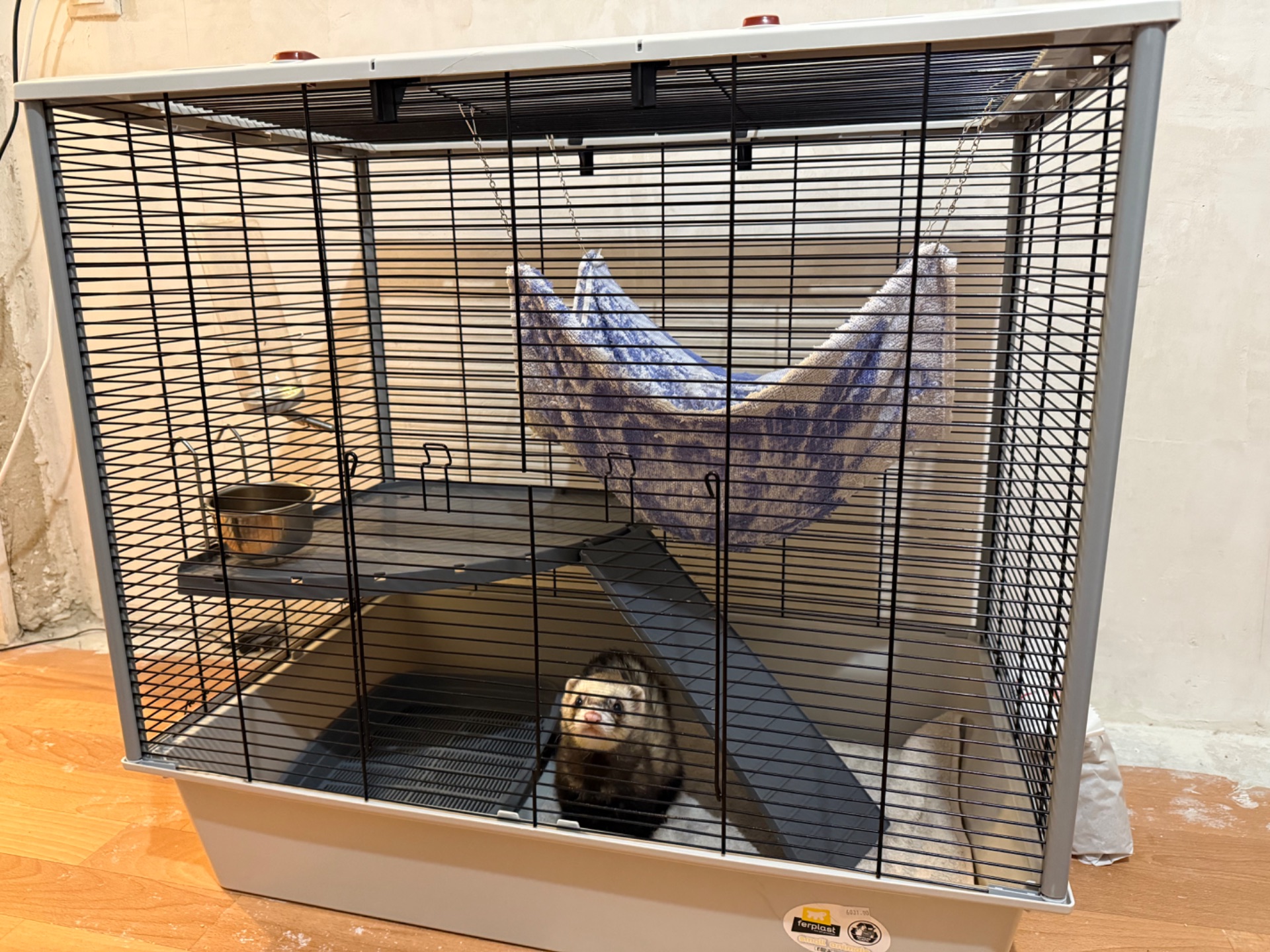 Хорек з кліткою