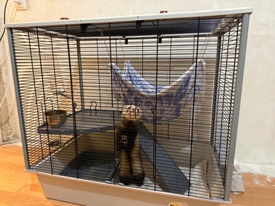 Хорек з кліткою