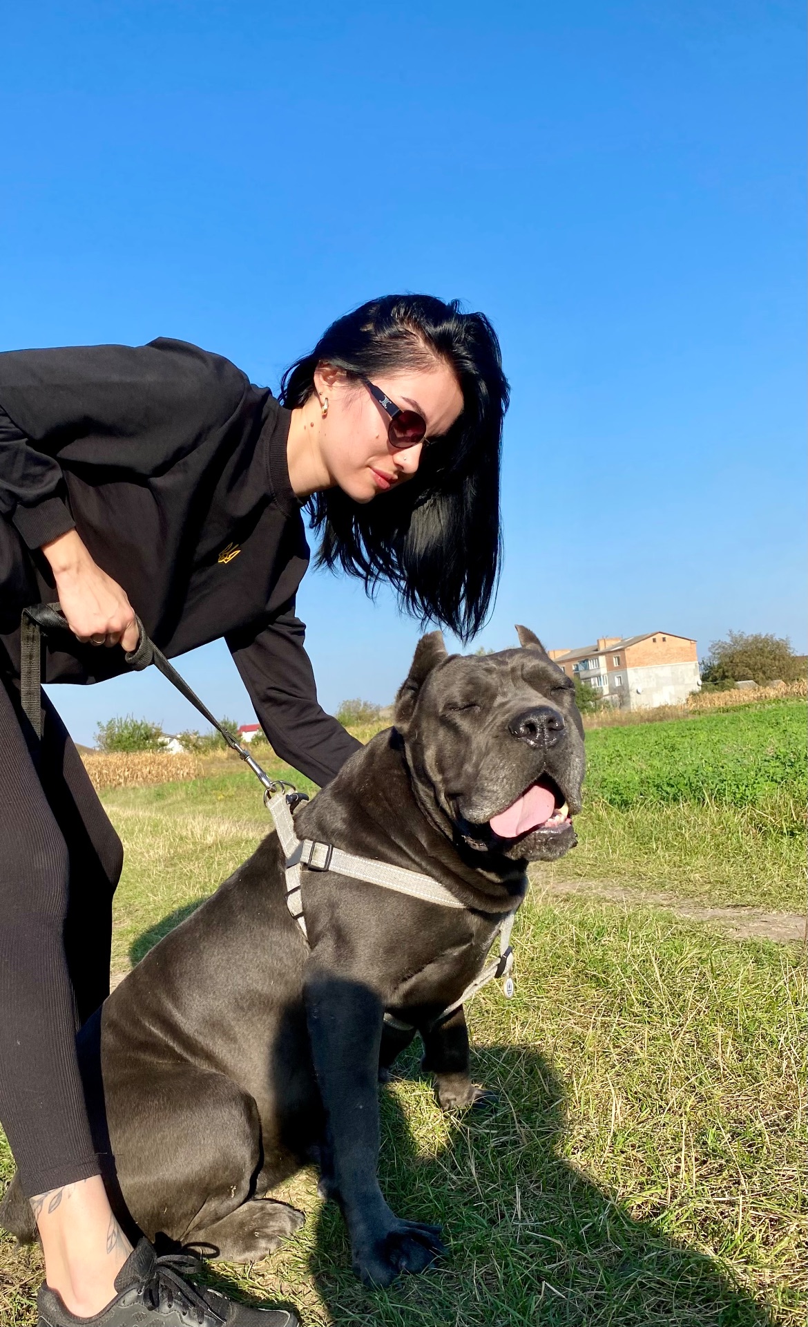 Цуценята Кане корсо