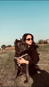 Цуценята Кане корсо