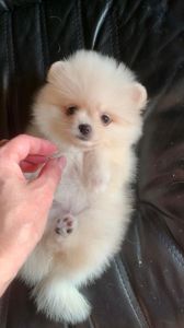 Очаровательный малыш