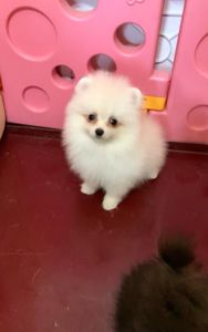 Очаровательный малыш