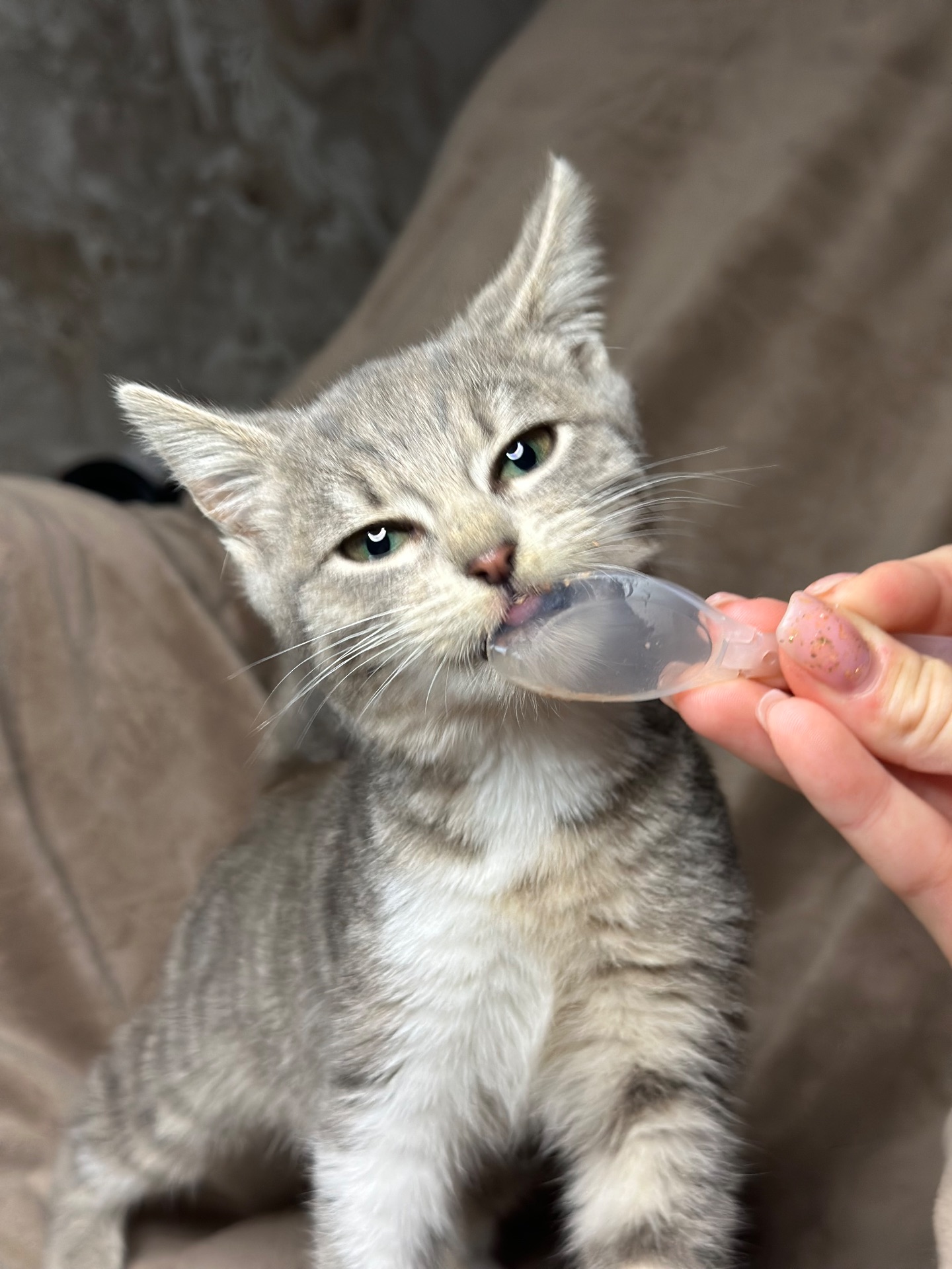 Шукає родину