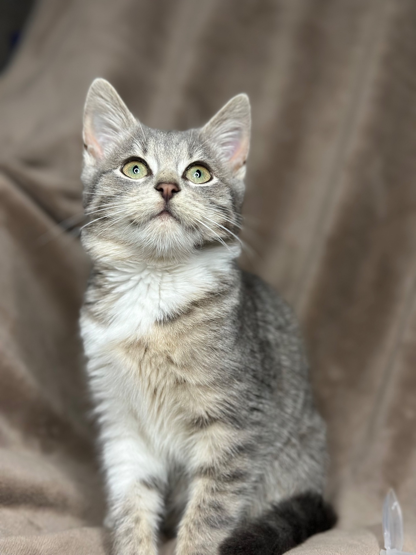 Шукає родину