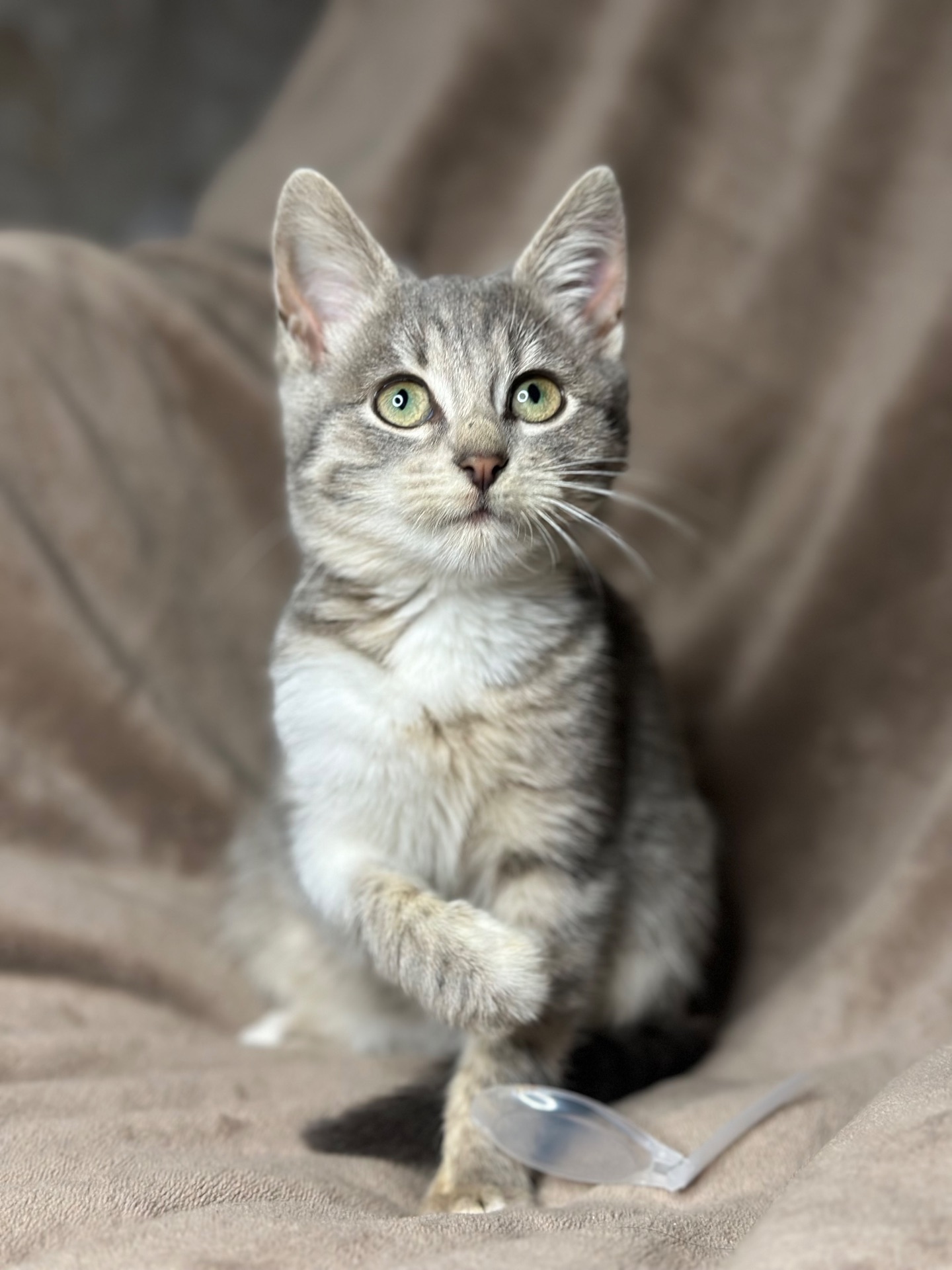 Шукає родину