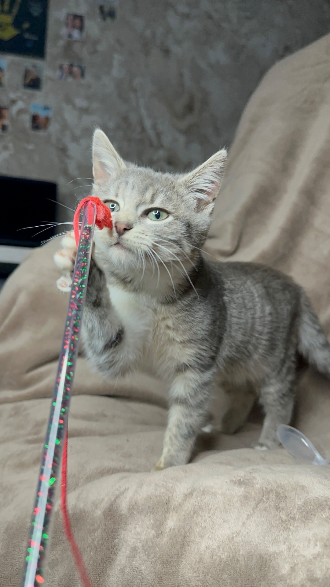 Шукає родину