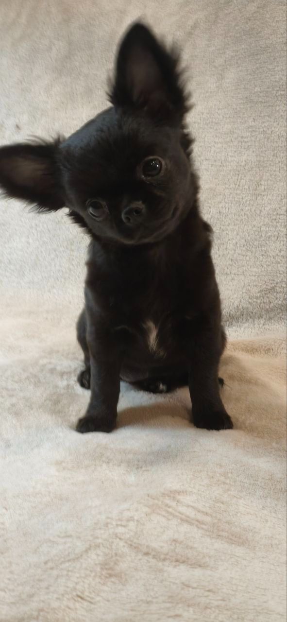 Чарівна дівчинка на ім’я Клякса