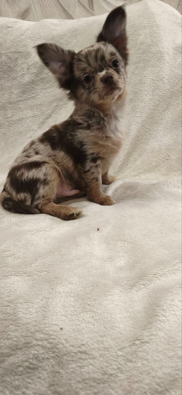 Чудовий хлопчик на ім’я Кай