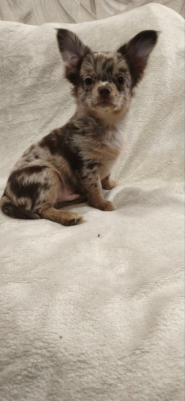 Чудовий хлопчик на ім’я Кай