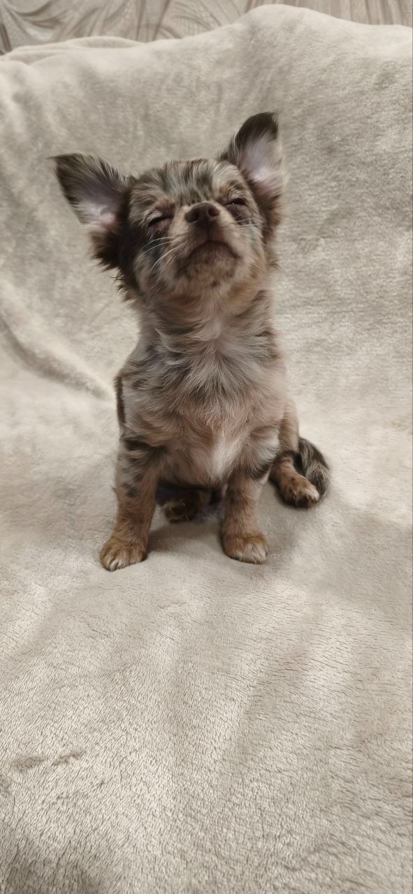 Чудовий хлопчик на ім’я Кай