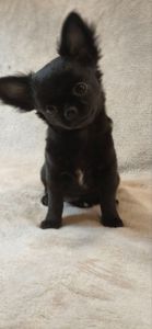 Чарівна дівчинка на ім’я Клякса