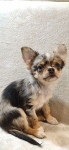 Шикарний хлопчик на ім'я Крош