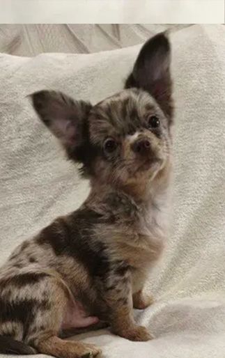 Чудовий хлопчик на ім’я Кай