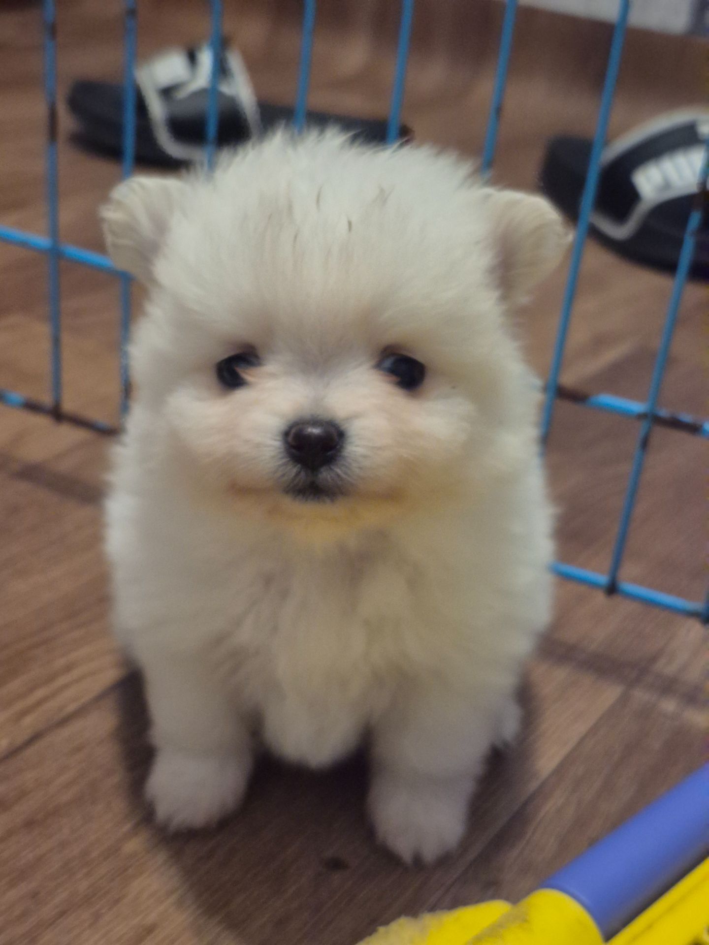 Чудова дівчинка