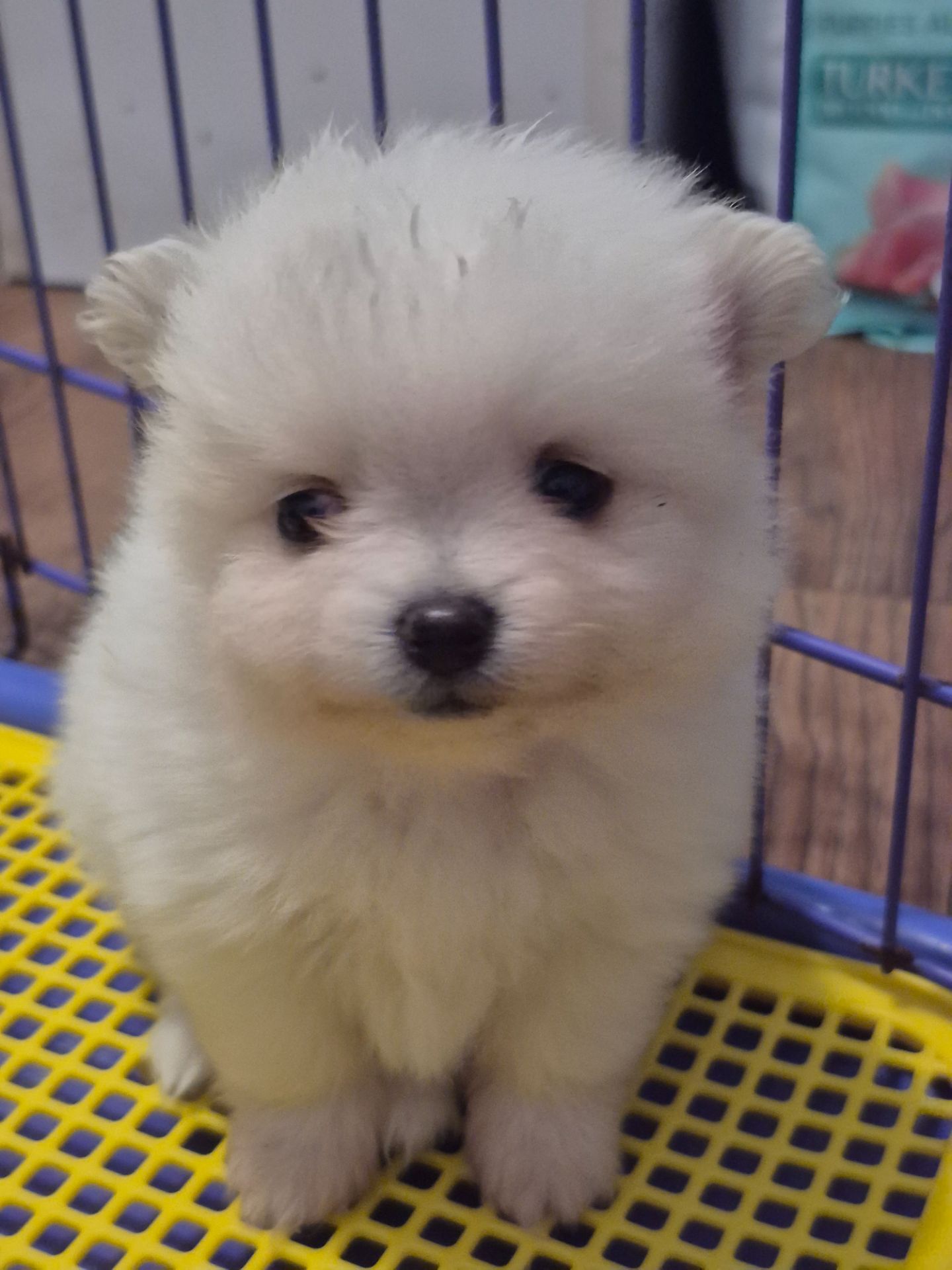 Чудова дівчинка