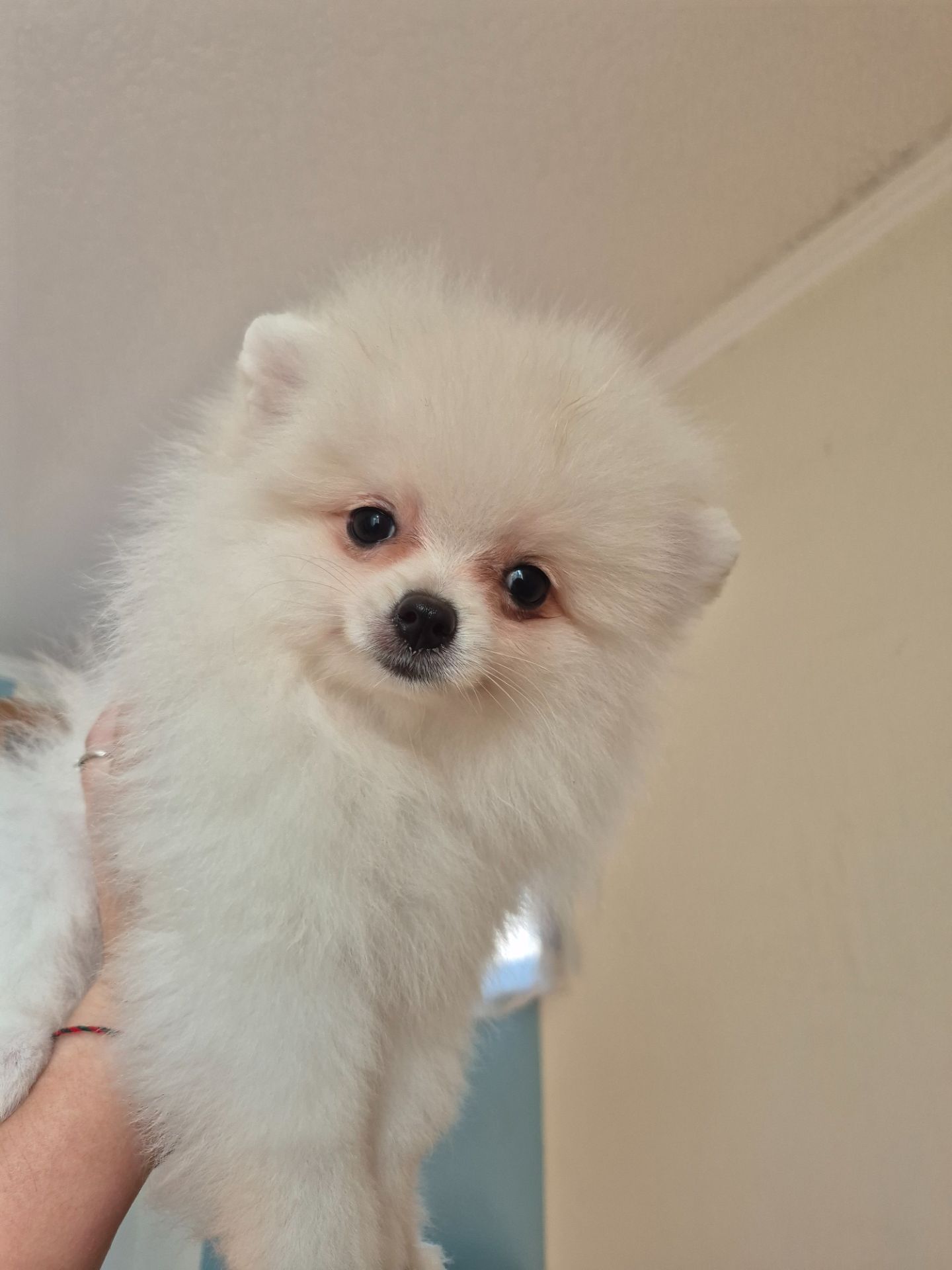 Чудова дівчинка