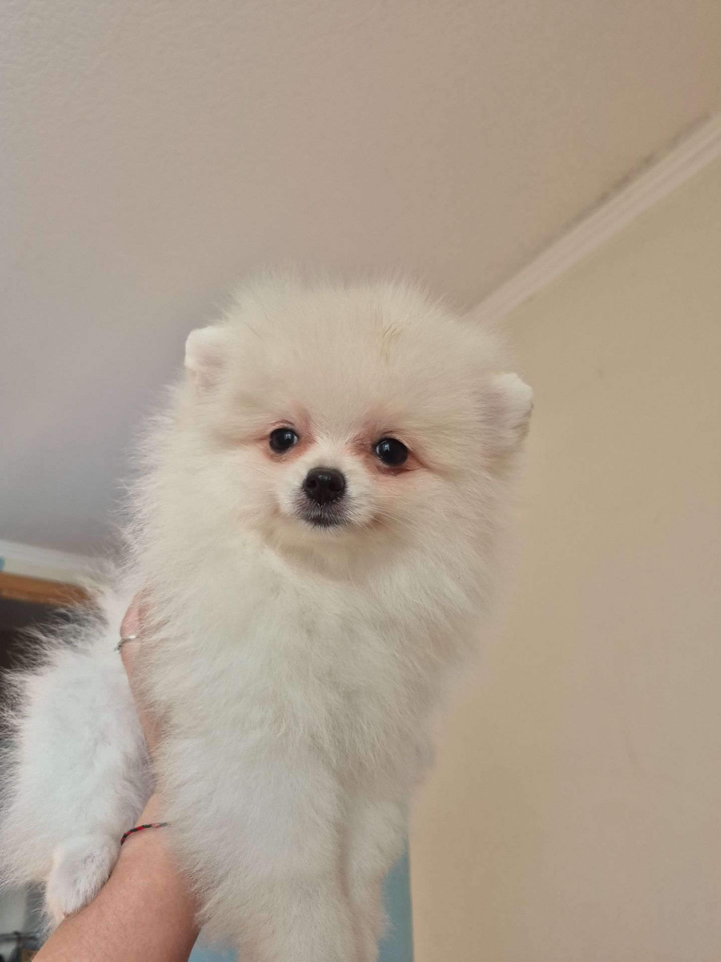 Чудова дівчинка