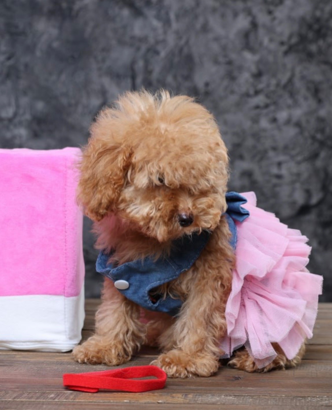 Мальтіпу ф1