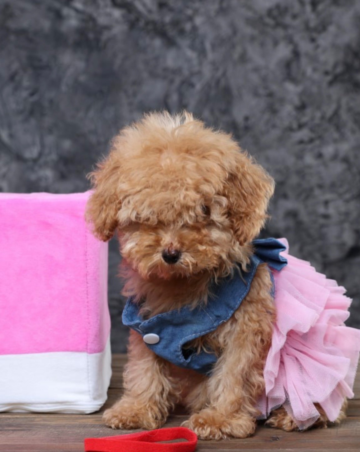 Мальтіпу ф1