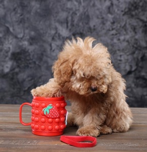 Мальтіпу ф1