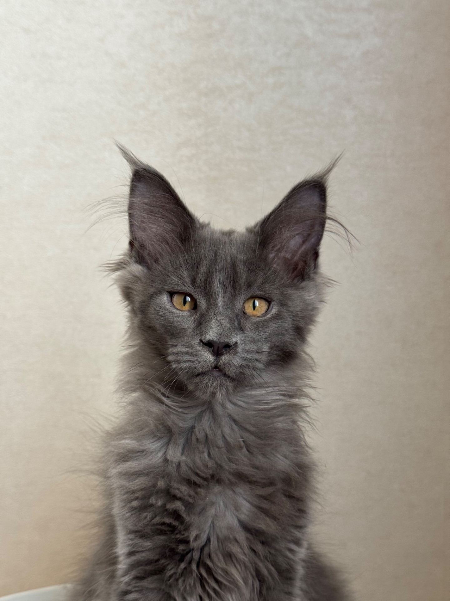 Нейтан мейн кун хлопчик