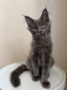 Нейтан мейн кун хлопчик