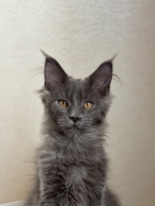 Нейтан мейн кун хлопчик