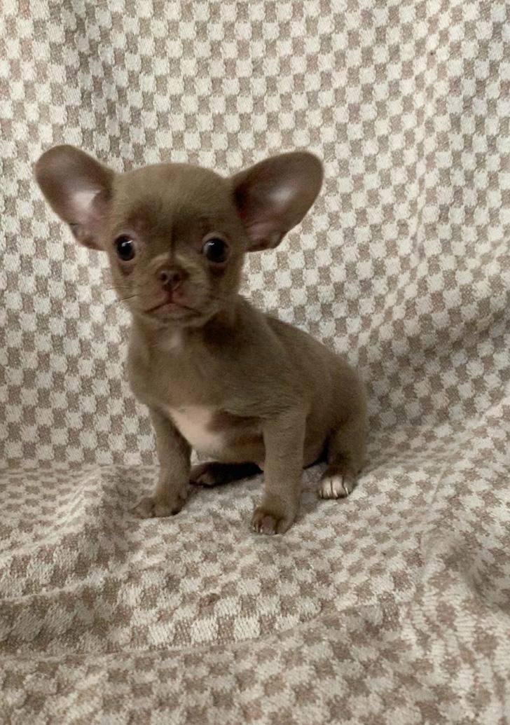 Великолепная Лилу