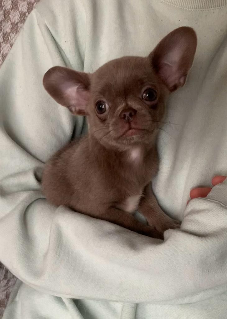 Великолепная Лилу