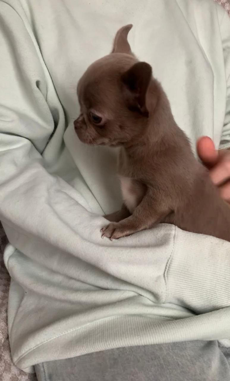 Великолепная Лилу